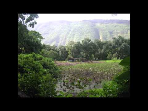 Ka Apiʻi O Waipiʻo- Kupaoa