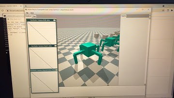 CS206 Final Project: Swarm Robotics Deliverable 2