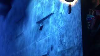 God Of War Origins Collection on PS3 - TV Oled 55B9 - Reescalado de Imagen (Image Rescaling)