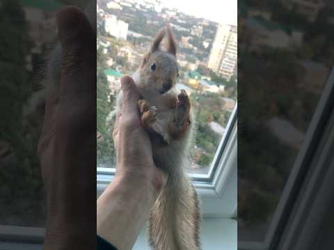 Такие дела😂 #fyp