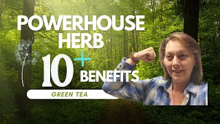 Fight Plaque on Arteries China Green Tea PowerHouse Herb