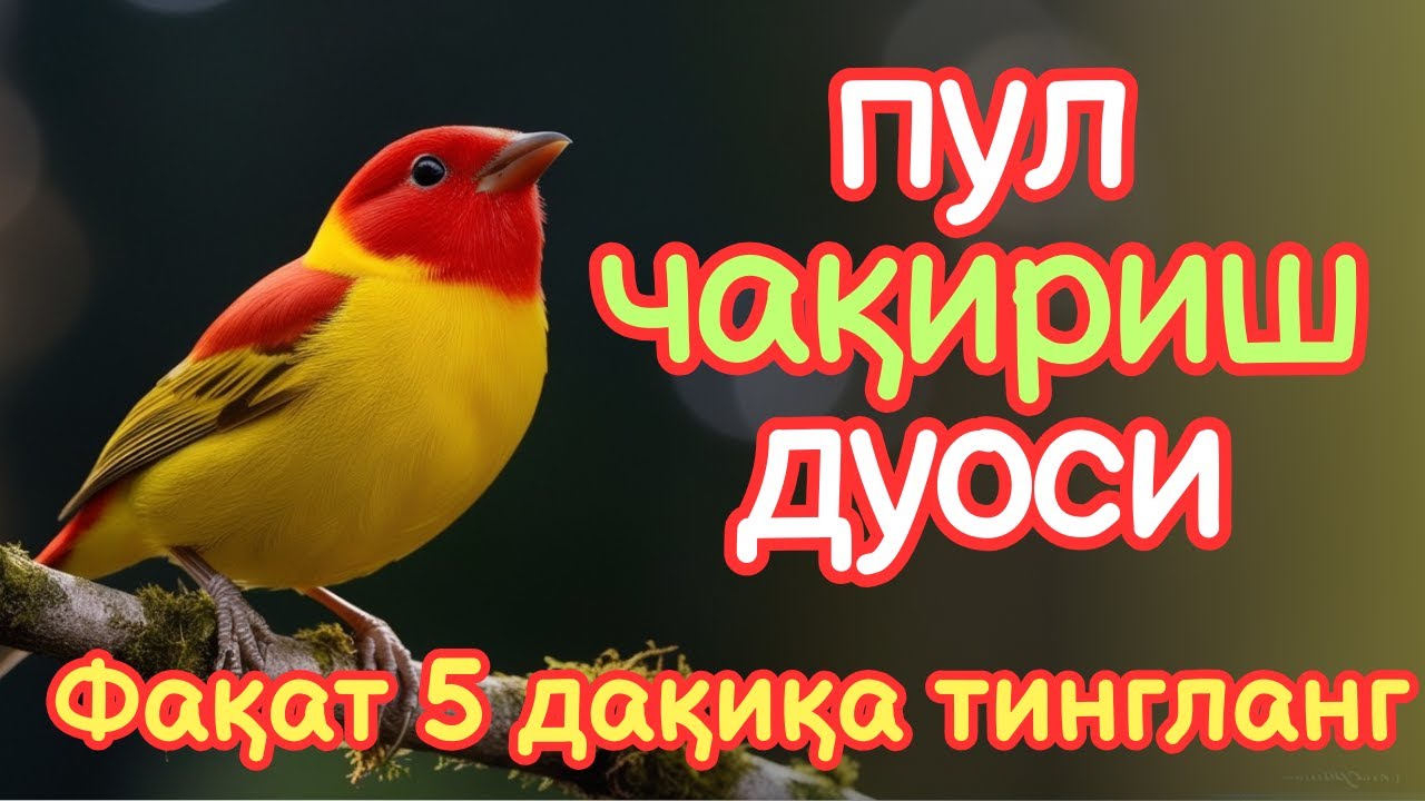 🔴Фақат 1 марта эшитинг , пул сизни ўзидан қидиради! Дунёдаги энг кучли ризқ дуоси!