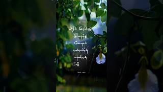 Yaar Intha Devathai Whatsapp Status Tamil