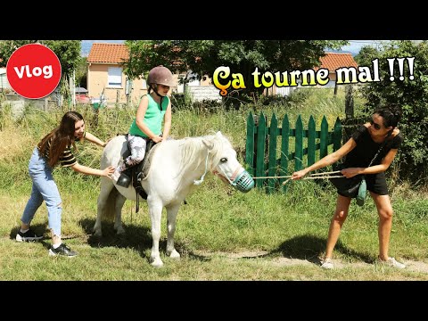 Vidéo: A quoi ressemble un mur de poney ?