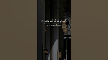 #قران_كريم  #الشيخ_ناصر_القطامي  #سورة_فصلت