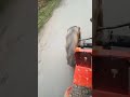 kubota L1  315