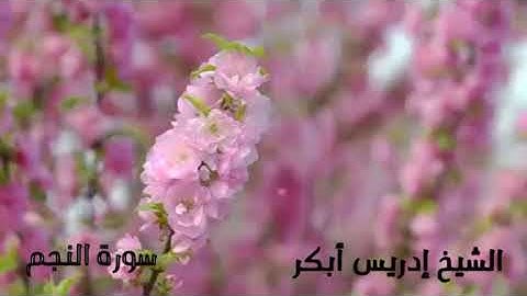 الشيخ إدريس أبكر /سورة النجم كاملة