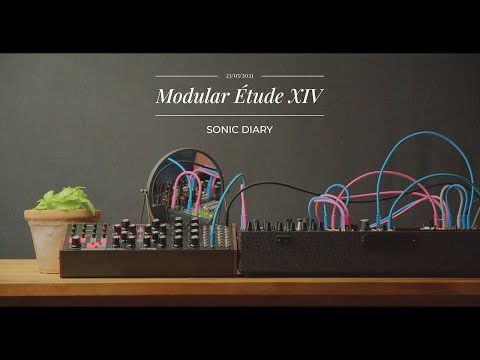 Modular Étude XIV | Moog Subharmonicon + Instruo Ts-L + Frap Tools USTA + ALM Pamela's New Workout