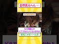 トイレに行きたいだけなんだがｗｗｗ #ゆっくり解説 #ねこたんの解説 #2ch #ねこたんの解説 #子ネコ #cat #保護猫