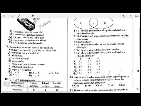 DİM İmtahan Biologiya IV blok qəbul 20.08.2020 İzahlı testlər