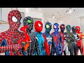 What if many spiderman in 1 house  spidermans story new season 3  live action 