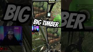 BIG TIMBER - LOADING LOGS ONTO THE TRUCK - Silverrun Forest - Farming Simulator 25 #logging #shorts