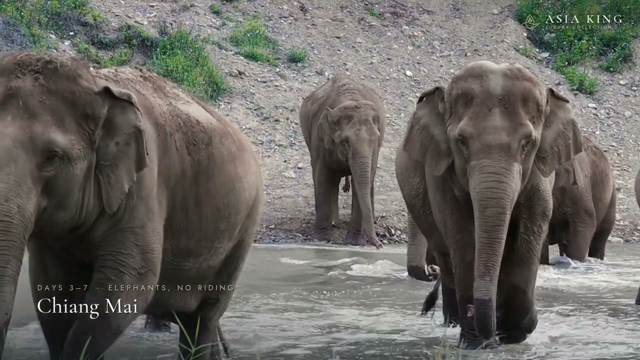 Thailand Luxury Family 11 days: Elephants, Temples & Beach