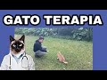 GATOTERAPIA - ¿Los gatos CURAN? - Beneficios de adoptar un gato - CAT THERAPY - Lic.Michi.