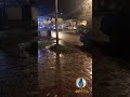السلطات الحكومية في ديالى تطالب الأهالي بعدم مغادرة منازلهم حفاظ ا على أرواحهم بعد تفشي فيروس كورونا