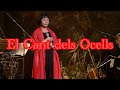 鳥の歌【El Cant dels Ocells】