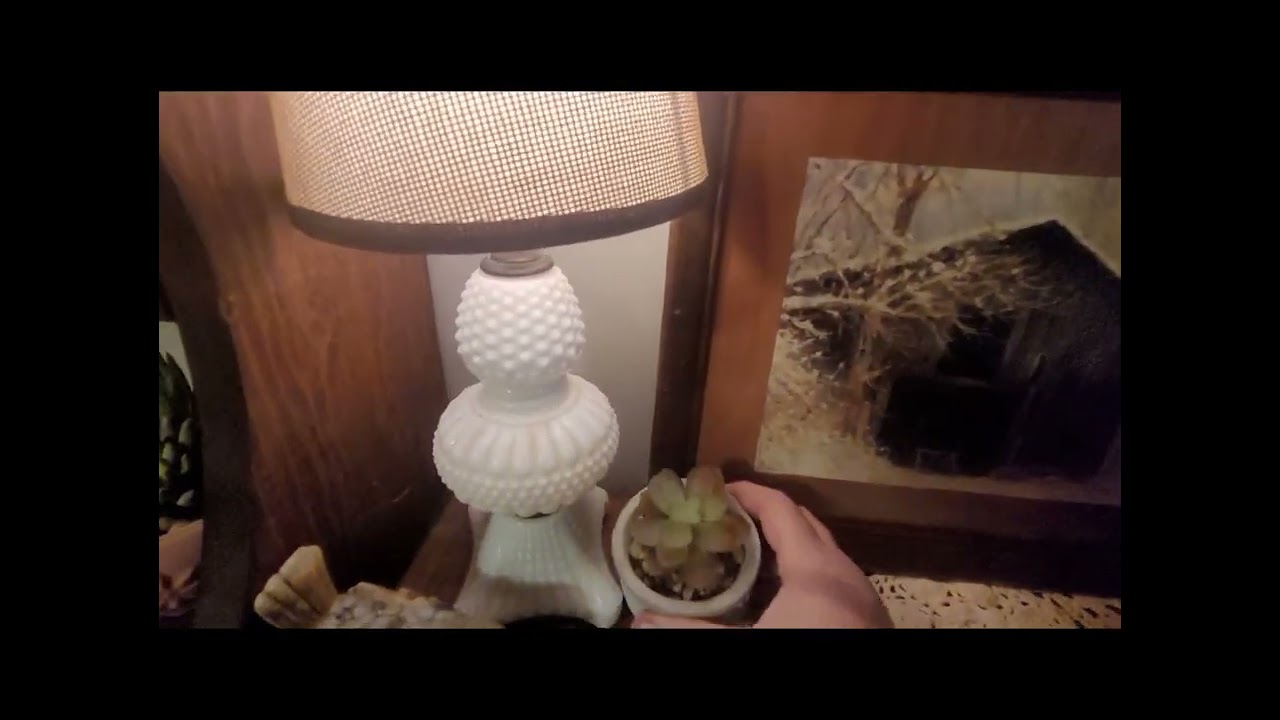 Thrift Store Shelf and Table