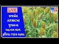 Mandi : રાજકોટ APMCમાં જુવારના મહત્તમ ભાવ રૂપિયા 7155 રહ્યા |  APMC |  GUJARAT  | Tv9Gujarati