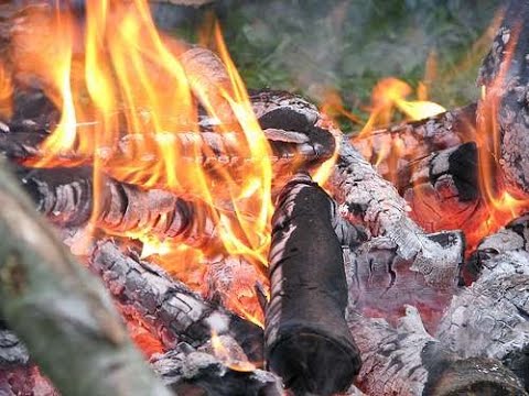 Vidéo: Peut-on brûler l'herbe coupée dans un incinérateur ?