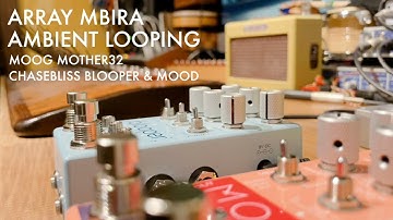 Ambient Looping [ Array Mbira / MOOG Mother32 / Soundscape ]