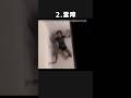 【トラウマ注意!】カメラが捉えた恐怖の心霊映像3選! #shorts #心霊 #ゆっくり解説