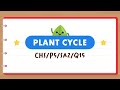PSLE Science Made Simple Quiz