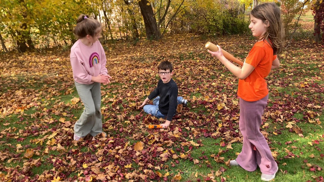 Taz Tries a Dog-Car-Seat- 110925