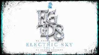El Gallo Del Sur | Electric Sky Vol. 2 | (Oficial Music)