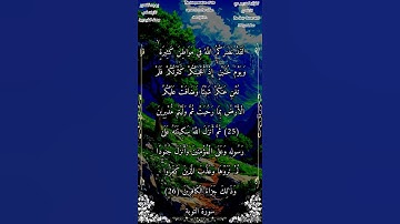 لقد نصركم الله في مواطن كثيرة ويوم حنين #سورة_التوبة #بدر_التركي #أحمد_طالب