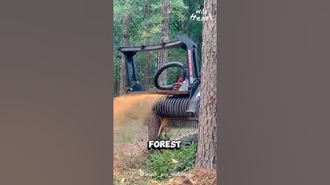 Why Turn Perfectly Healthy Trees to Mulch,#forestry #mulching #interestingfacts #shorts #viralvideo