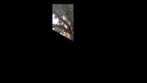 Lectra modaris 3d fit