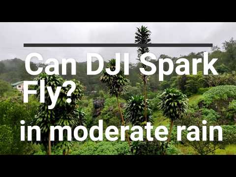 dji spark rain