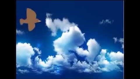 Classic Tween Animations