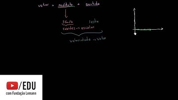 Introdução aos vetores para a álgebra linear.