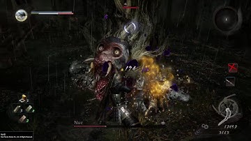 Nioh Fourth Boss: Nue (Easy strategy)