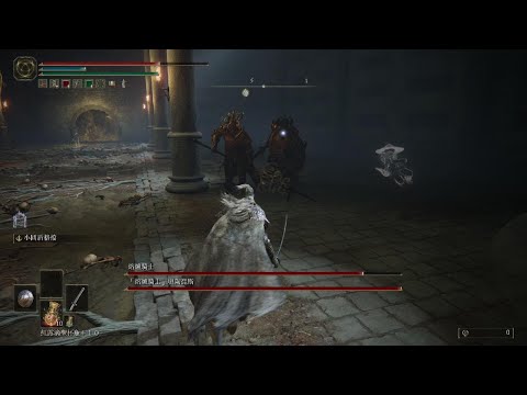 ELDEN RING 艾爾登法環 雙熔爐騎士