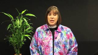 2013 Southeastern Synod Assembly - General Orientation