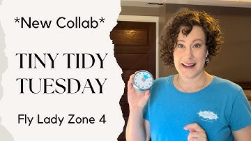 Tiny Tidy Tuesday Collab | Fly Lady Zone 4 | One Extra Room