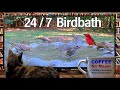 24/7 Cat TV Continuous Birdbath All Day Never-ending Video for Cats to Watch On-the-Hour