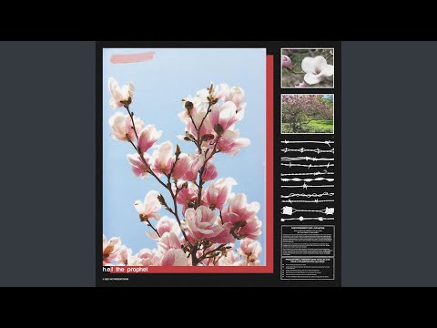 YouTubeでPray Moreを視聴