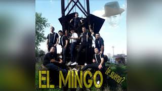 El Mingo Te Suena - Llegó papá