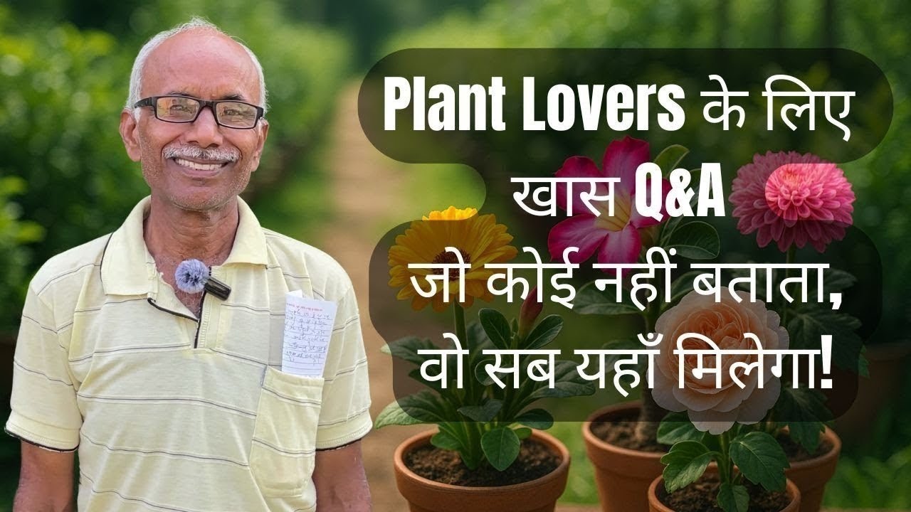 जानिए आपके पूछे कुछ सवालों के बहतरीन जवाब | Question Answer special | NurseryTips 