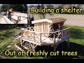 From start to finish  how to build a shelter on posts  a logging sawing and building