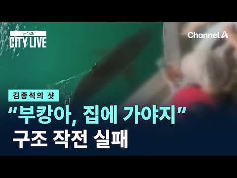[김종석의 샷]“부캉아, 이제 집에 가야지”…구조 작전 실패