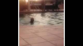 Nigeria & Dubai experience (Created with @Magisto)