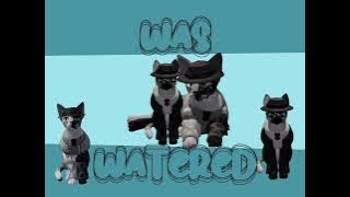 Wcue meme | Original | Check Disc for more info |