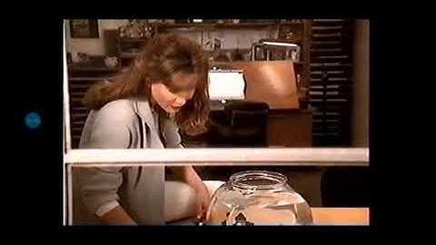 Feature Presentation/Stay Tuned After The Movie Logo (1998) Disney