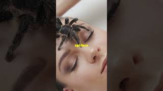 “5 Common Myths Busted: What You Need to Know!”