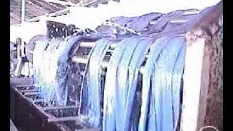 Dyeing of cotton knitted fabric with reactive dyes.