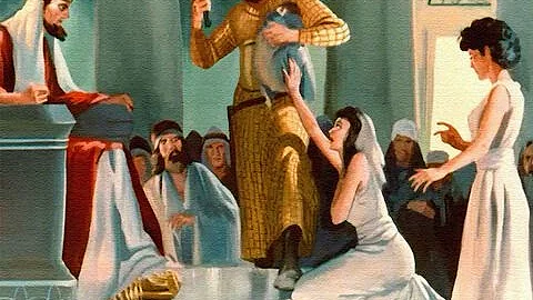 The Wisdom of Solomon by Michele Cox